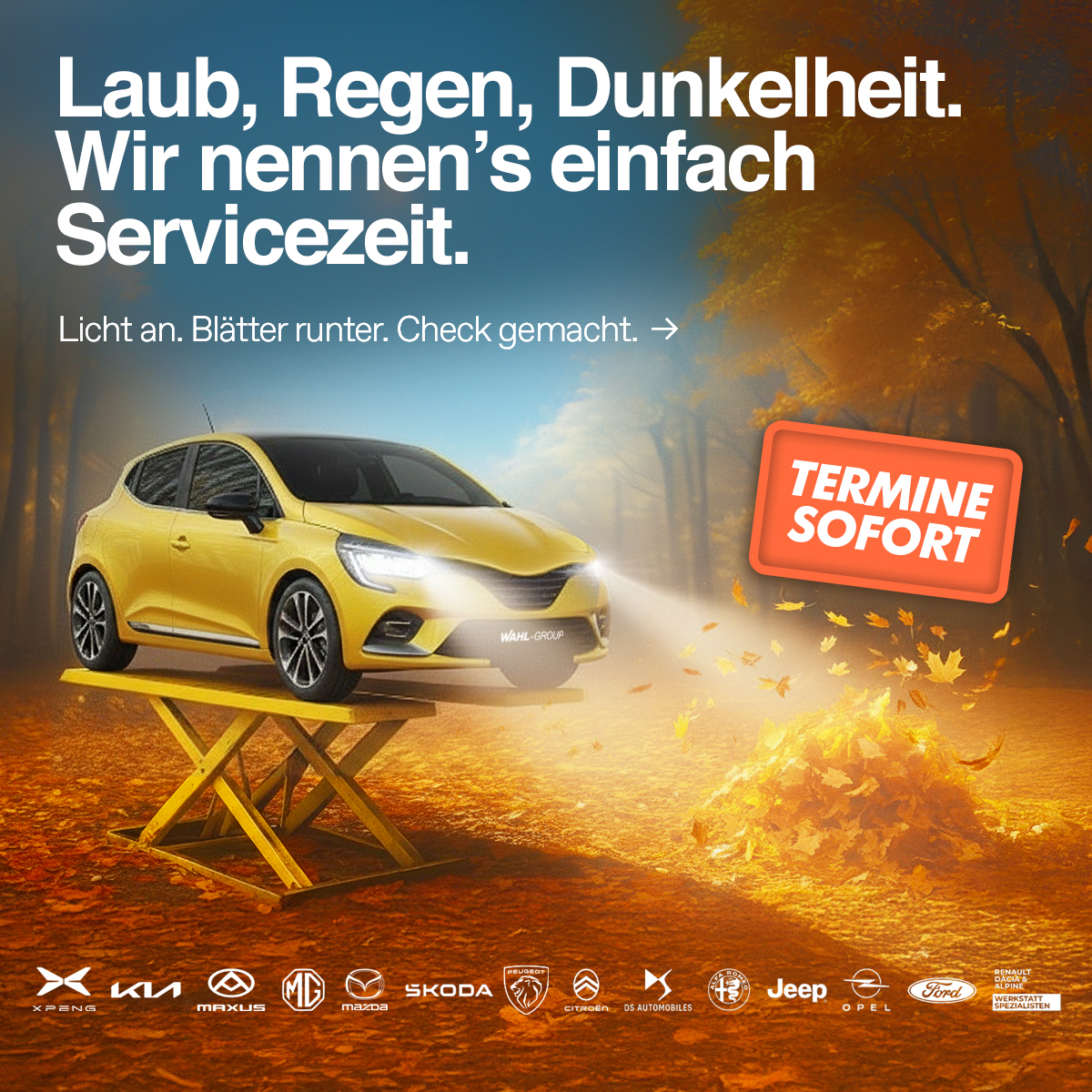 Herbstcheck bei der Wahl-Group – Serviceangebot Licht, Sicht und Sicherheit | Wahl-Group