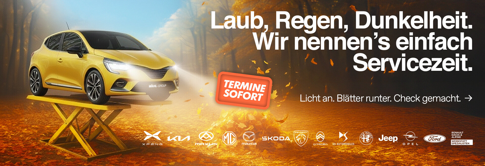 Herbstcheck bei der Wahl-Group – Serviceangebot Licht, Sicht und Sicherheit | Wahl-Group Herbstcheck bei der Wahl-Group – Serviceangebot Licht, Sicht und Sicherheit | Wahl-Group