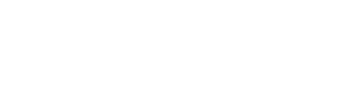 Wahl-Group