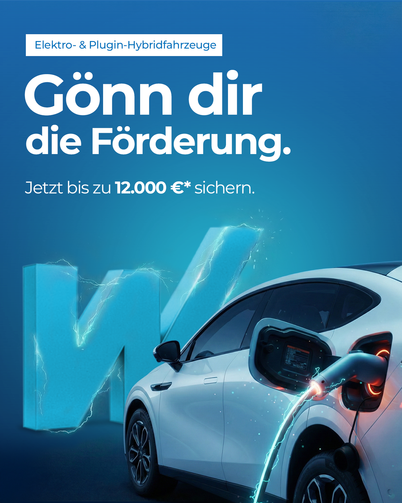 BAFA Förderung 2026