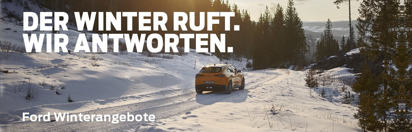 ford kassel,ford siegen,ford wahl kassel,ford wahl,ford fritzlar, ford werdohl,ford händler kassel,fordhändler kassel,ford werkstatt kassel, ford betzdorf,ford wahl betzdorf,ford händler siegen,ford in kassel, ford autohaus kassel
