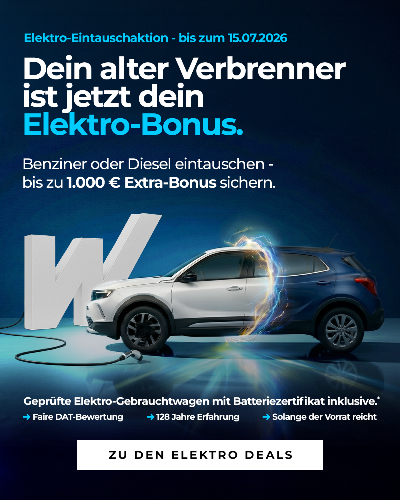 Elektro Gebrauchtwagen-Aktion Wahl-Group