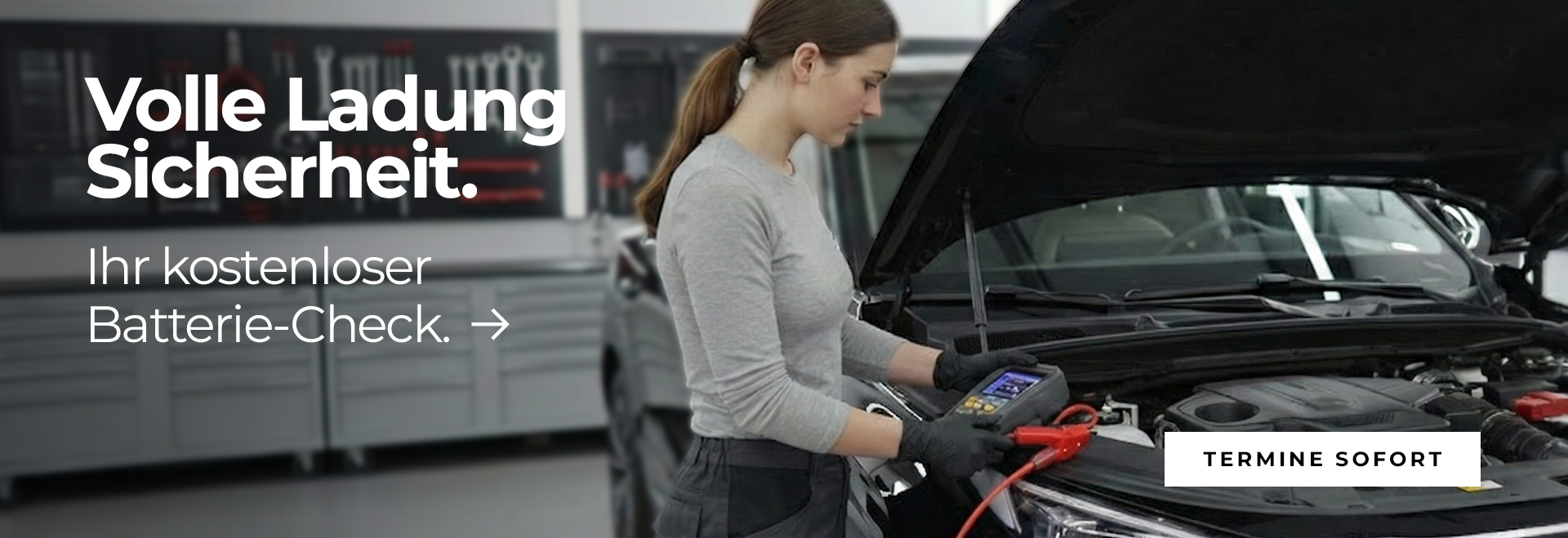 Kostenloser Batteriecheck