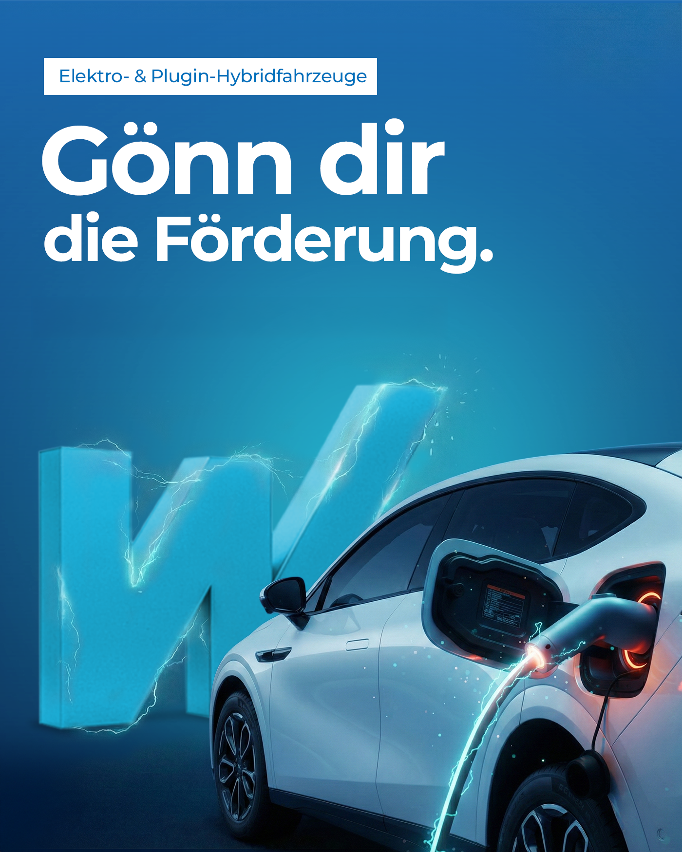 BAFA Förderung 2026