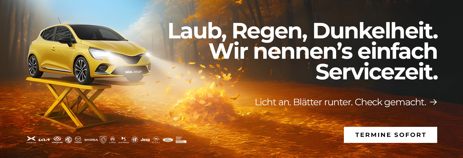 Herbst-Check